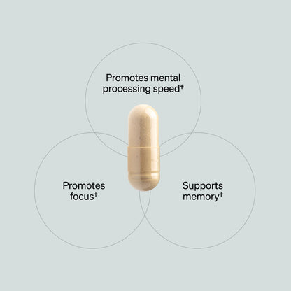 JabNutrition | An advanced formula designed to support focus, memory, and cognitive performance, helping you achieve more every day.